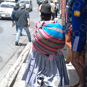 Tipical bolivian woman