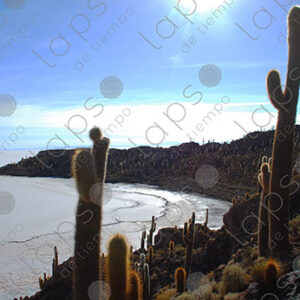 Beach at Isla Incahuasi, Salar de Uyuni
