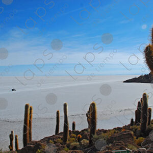 Beach at Isla Incahuasi, Salar de Uyuni