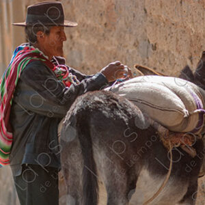 Bolivian Man with his Donkey