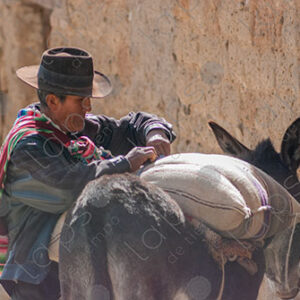 Bolivian Man with his Donkey