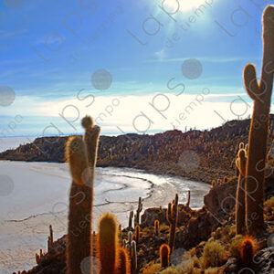 Beach at Isla Incahuasi, Salar de Uyuni