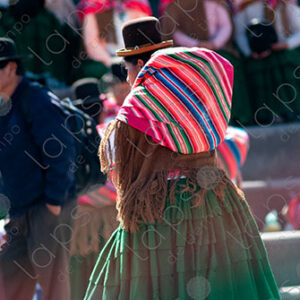 Cholita Wearing Green Skirt