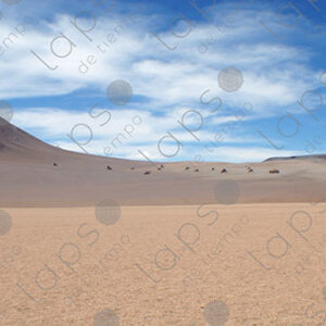 Dali Desert in the Bolivian Altiplano