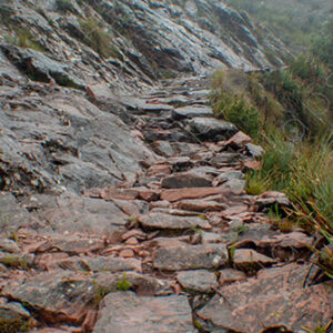 Inca Trail