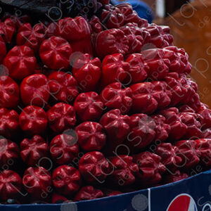 Sucre Carnival