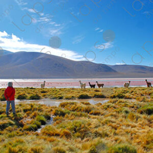 Girl in a fuchsia jacket looks at the Red Lagoon