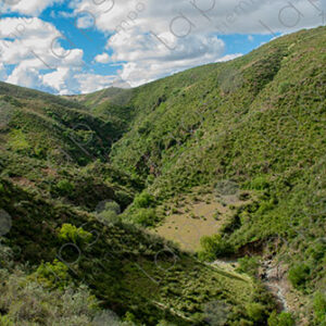 Green hillsides