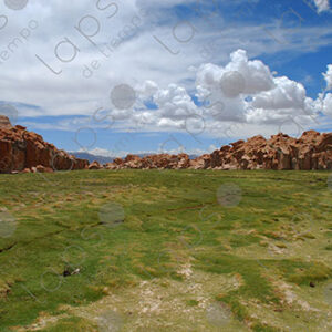 Highland Landscape with Rocks and Grass