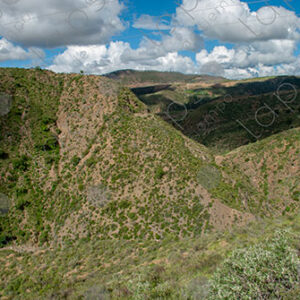 Landscape of Green Hills and Clouds