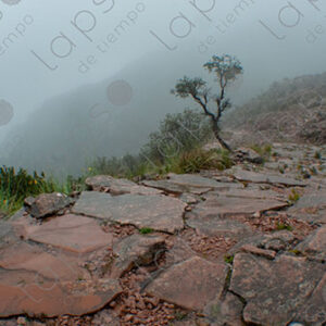 Inca Trail