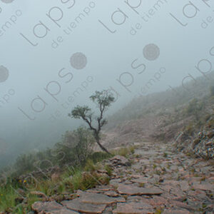 Inca Trail
