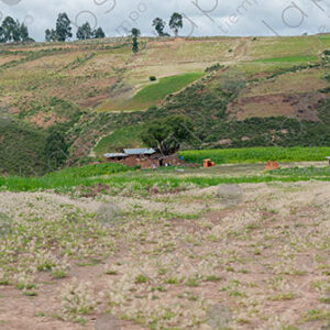 Landscape Green Hills