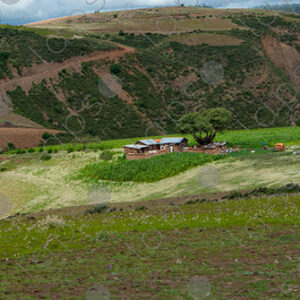 Landscape Green Hills