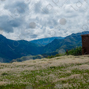 Landscape of Green Hills and Clouds