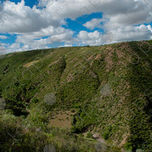 Landscape Green Hills
