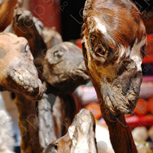 llama fetuses, amulet.