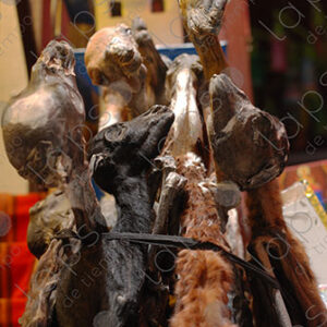 llama fetuses, amulet.