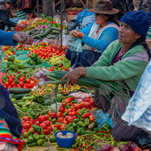 Market Stalls with Vegetables