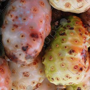 Noni fruits