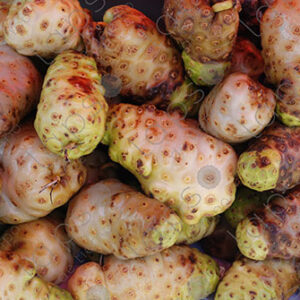 Noni fruits