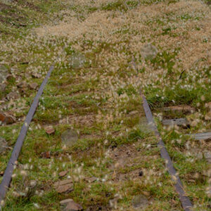 Railroad Lines in the Highland Plains