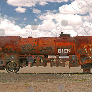 Section of Rusty Train