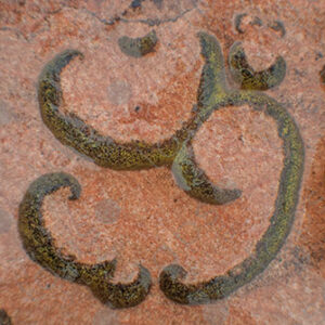 Symbol on the rock