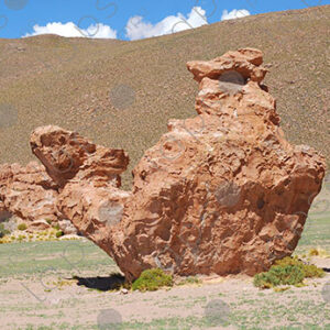The Camel Rock in the Valley of the Rocks