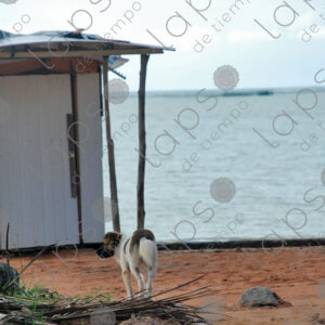 Beach caretaker hut