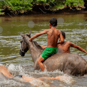 Boys bathing with horses in the river