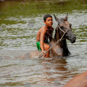 Boys bathing with horses in the river
