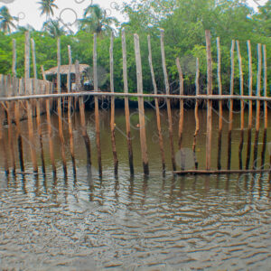 Cage in the river
