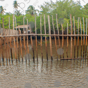 Cage in the river