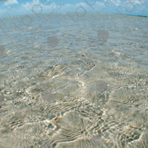 Crystal-clear waters