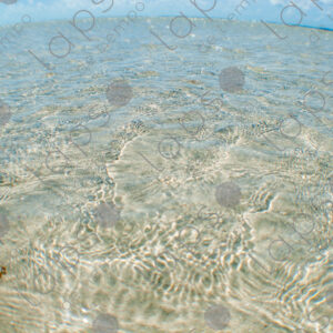Crystal-clear waters