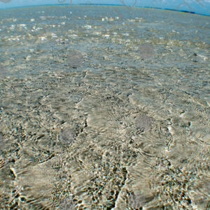 Crystal-clear waters