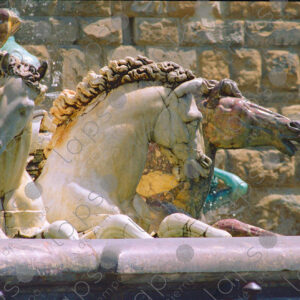 Detail of horses, Fountain of Neptune, Florence, Italy