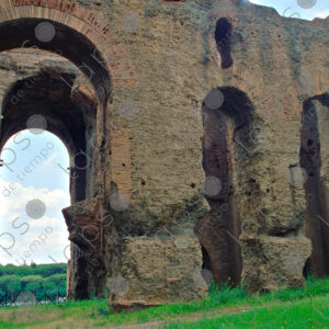 Domus Severiana Ruins