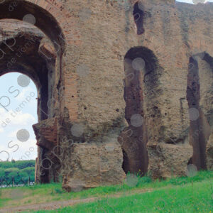 Domus Severiana Ruins