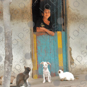 Elderly woman leaning on door cats and puppy outside