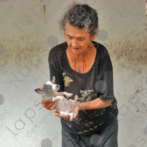 Elderly woman leaning on door cats and puppy outside