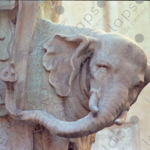 Elephant sculpture detail by Bernini, Piazza della Minerva, Rome