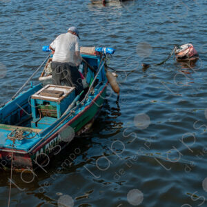 boat in the sea