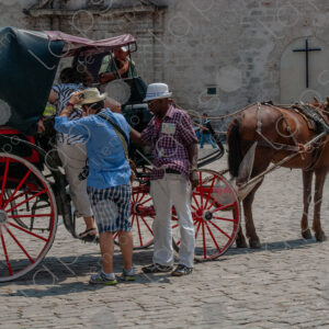 Horse-drawn carriage