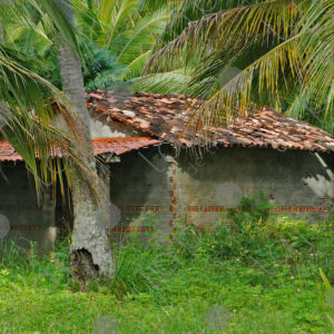 House with tiles among palm trees