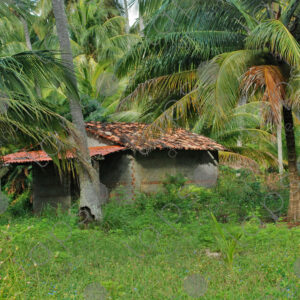House with tiles among palm trees