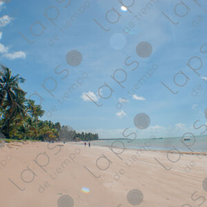 Landscape of beach