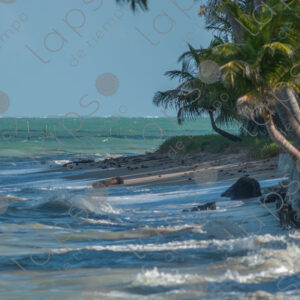 Landscape with a turbulent sea