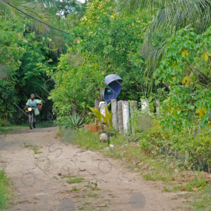 Motorcyclist comes on rustic road